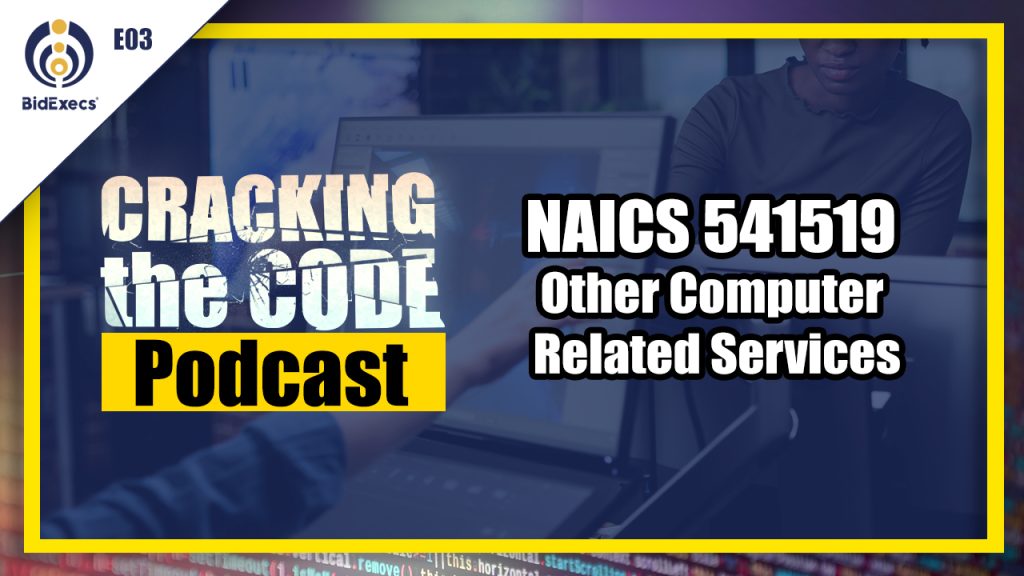NAICS 541519 Other Computer Related Services– Cracking the Code Podcast NAICS 541519 Other Computer Related Services– Cracking the Code Podcast
